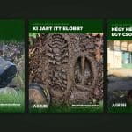 Social media kampány esettanulmány
